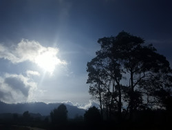 Environment In Nuwara Eliya