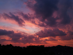 Evening sky