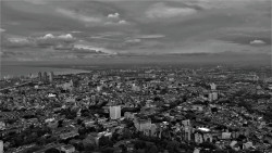 Busy City