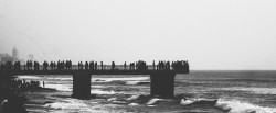 The life bridge