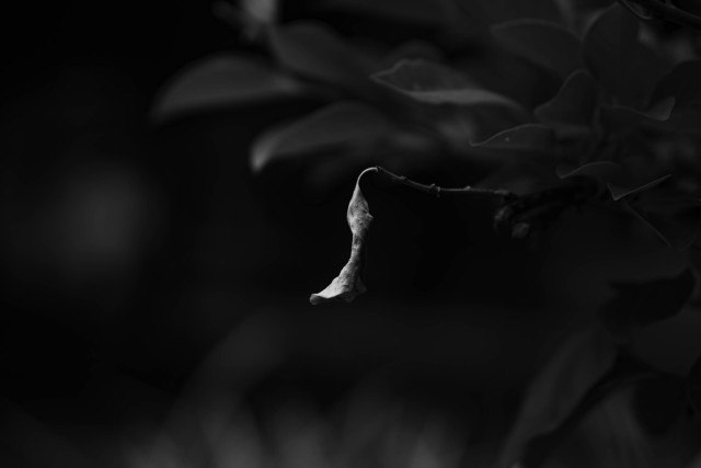 Hanging In there