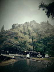 Drizzle