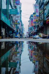 reflection