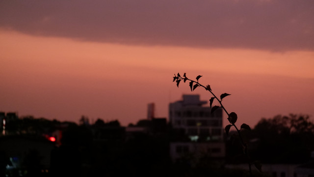 Beauty of an Urban Sunset
