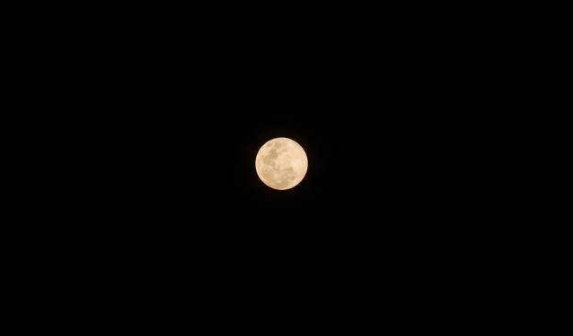 Harmony of Night
