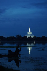 "Ruwanweliseya Stupa: A Timeless Reflection of Serenity and Spirituality"