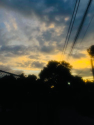 Sun Set