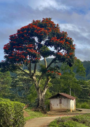 ගමන කොහෙන් අවසන් වෙද?