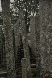 Only ruins ?