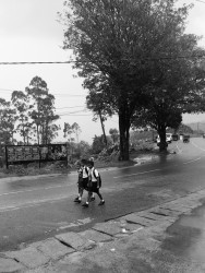 Road to School