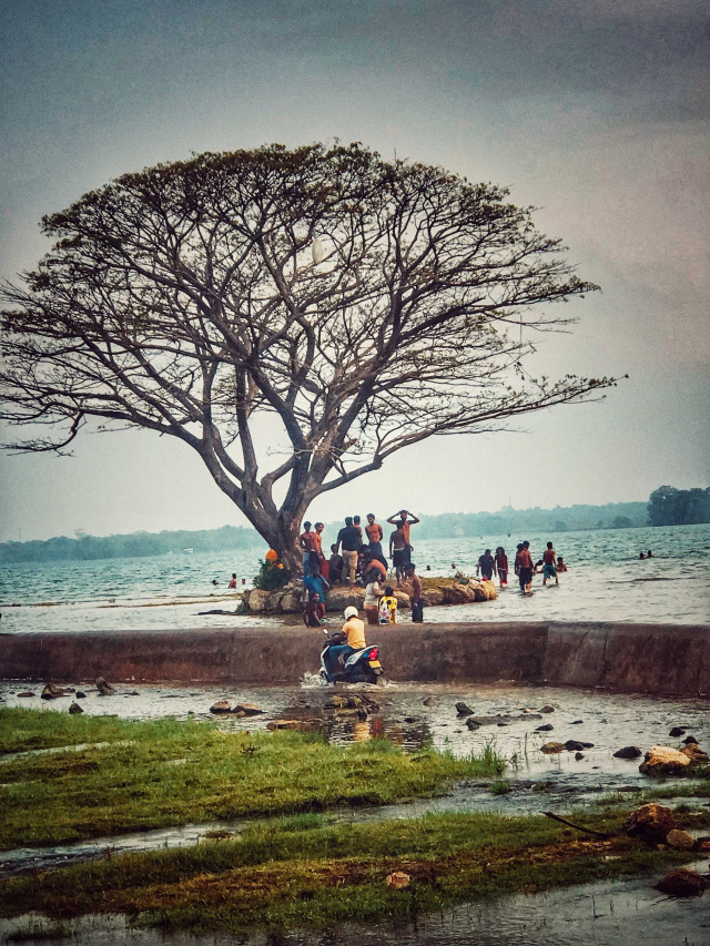 Spring season comes only once in a year. It is a perfect example of this. Dear Chandrika Lake