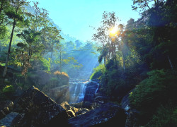 Sunrise