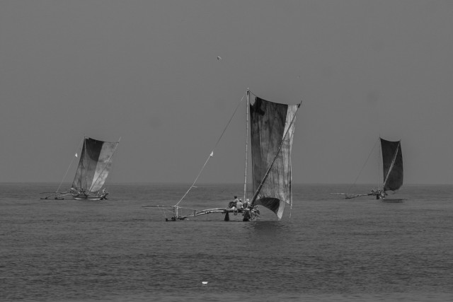 The Sail