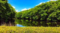 The Serenity of Nature