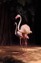 Prideful and elegant