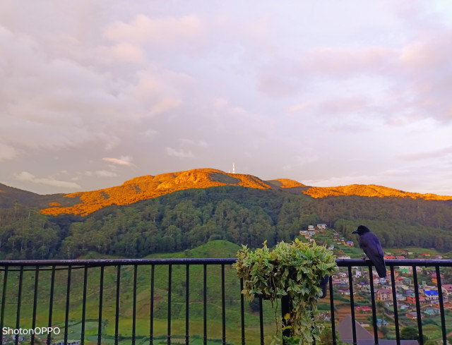 Mountains and Life