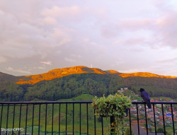Mountains and Life