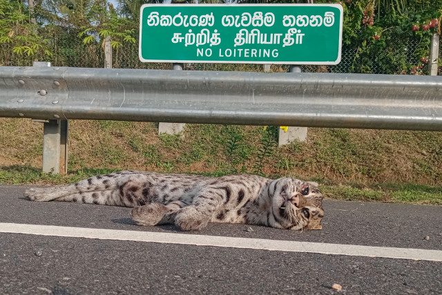 Loitering not allowed