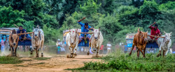 Traditional race
