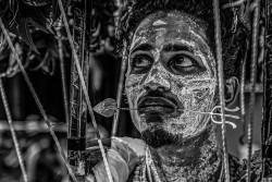 Traditional festivals