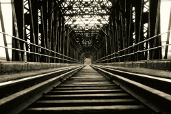 Bridge Of the Mahaweli River