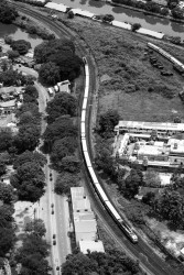 A bird seeing a Train
