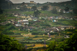 Helmalu Houses