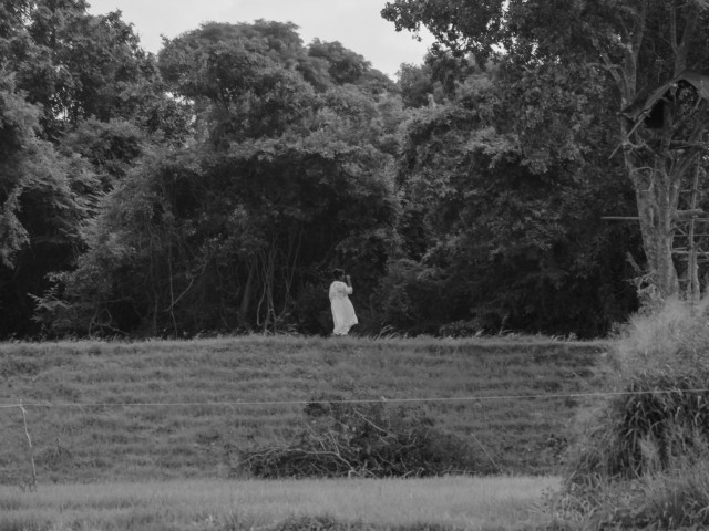 On a path to Nibbana