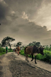 The Village