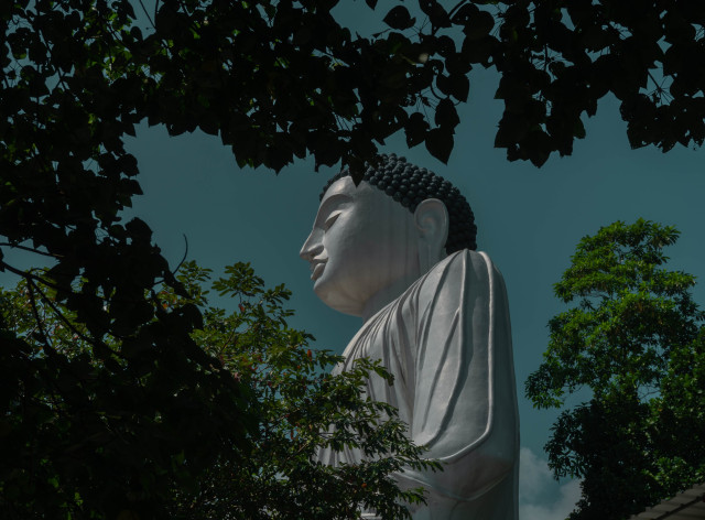 Buddha
