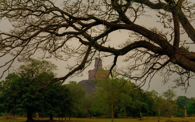 Anuradhapura puja nagarya