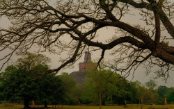 Anuradhapura puja nagarya