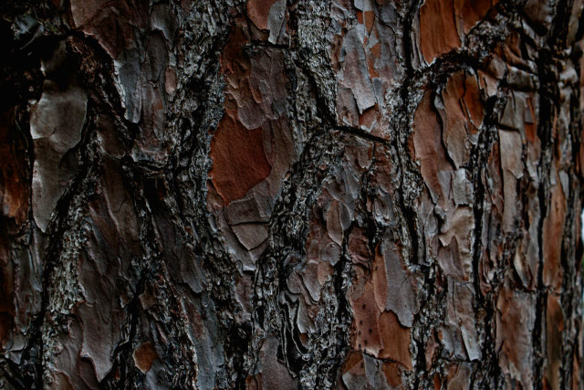 Texture