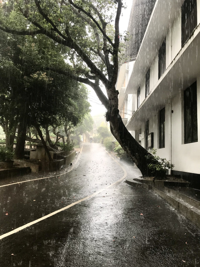 School on a rainy day