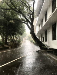 School on a rainy day