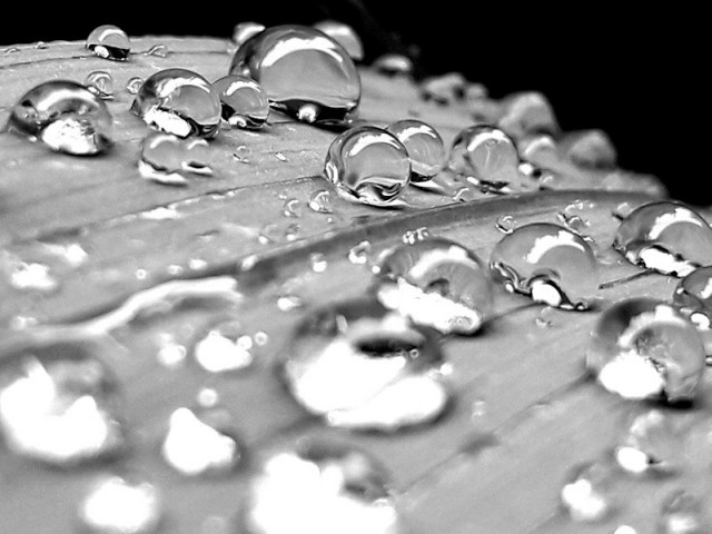 Water