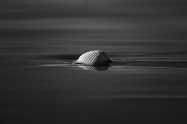 Loneliness and isolation