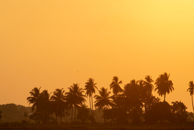 Vibrant Evening