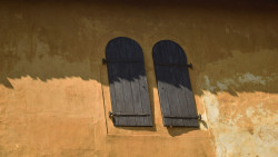 Shadow