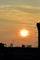 Mornings in Colombo
