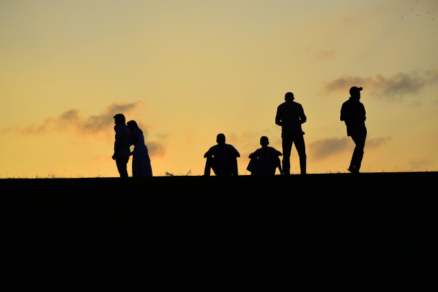 Love's Compromises vs. Single's Liberties