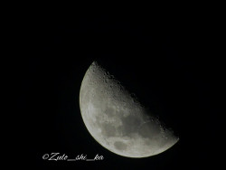 Light Of The Moon 🌚