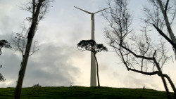 Electricity