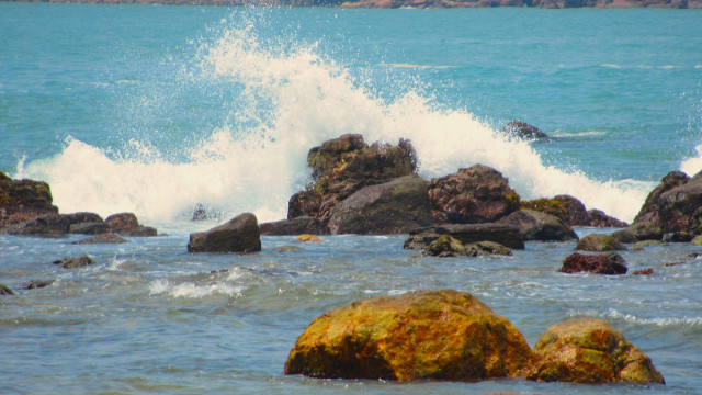 Waves