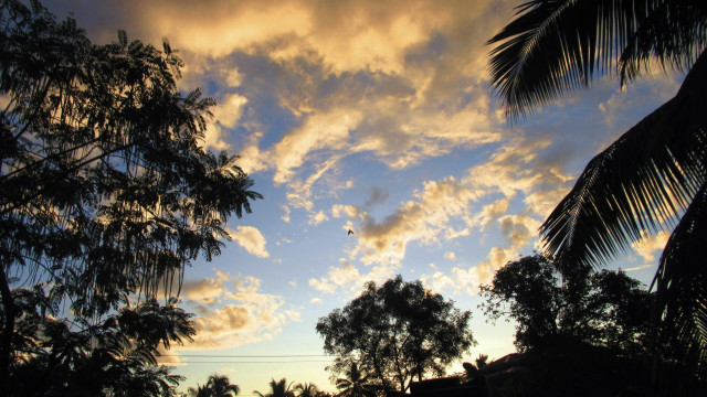 Freedom of the sky