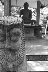guardstone(sri lankan ancint asset)