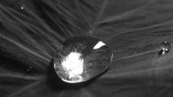 Bubble