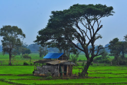 Nature