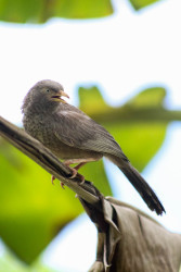 Capturing the beauty of birds in their element"