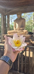 Visit To The Temple